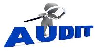 statutory audit