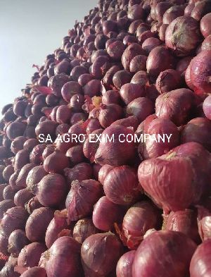 RED ONIONS WELL DRIED