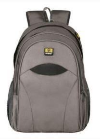 Gray Backpack Bags