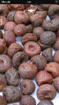 Areca Nut Rashi