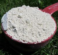 Diatomaceous Earth