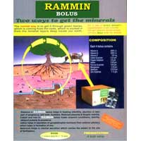 Rammin Bolus