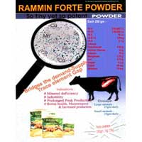 Rammin Forte Powder