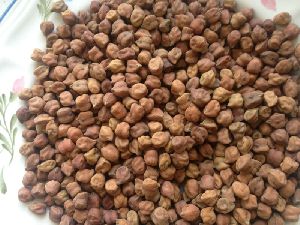 Indian Pulses