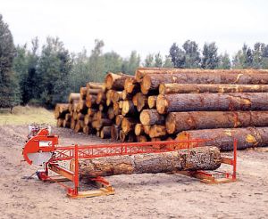 sawmill logs