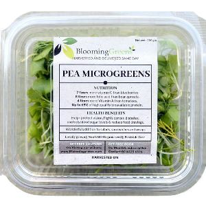 Pea Shoots Microgreens