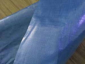 Pp Woven Fabric