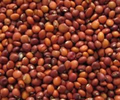 Red Pigeon Peas