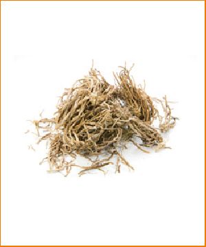 Vetiver Roots