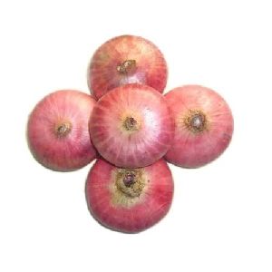 Fresh Pink Onion