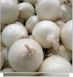 Fresh White Onion