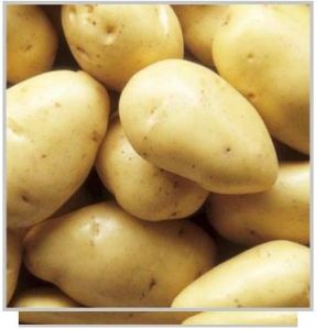 Laukar Potato