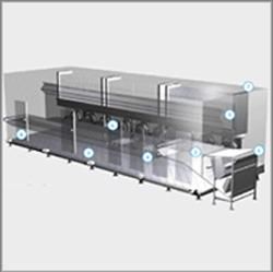 IQF - Individual Quick Freezer