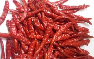 red chilli