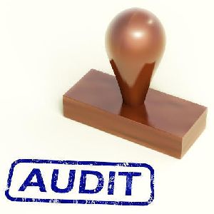 management auditing services