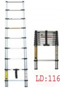 Aluminium Straight Ladder