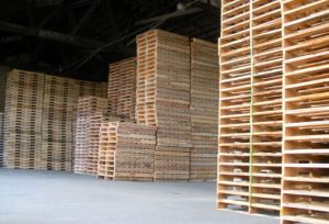 Pinewood Pallets