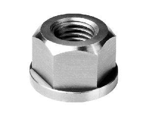 FLANGE NUTS PLAIN