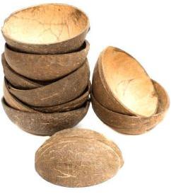 Coconut Shells