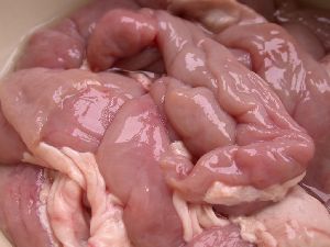 Frozen Pork Intestine