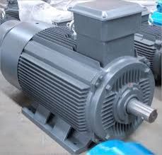 Squirrel Cage Induction Motor