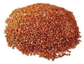 Red Quinoa Seeds