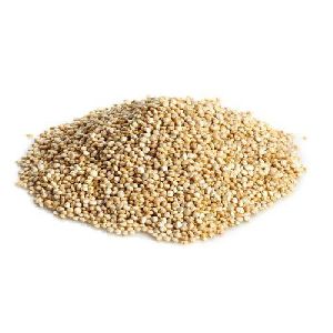 white quinoa seeds