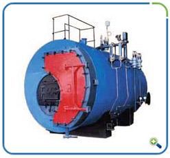 Solid Fuel Fired Steam Boiler