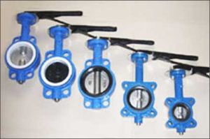 Center Disc Butterfly Valve