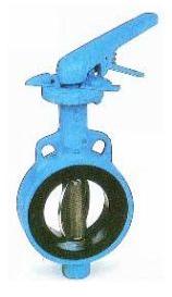 Rubber Lined Butterfly Valve