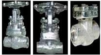 Forged Steel Gate Valve