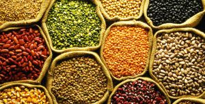 Indian Pulses