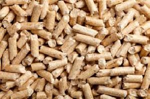 Biomass Pellet