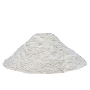 White Onion Powder