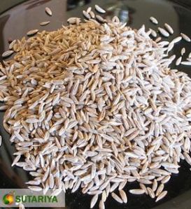 Cumin Seed