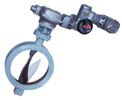 Butterfly Valve