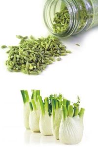 Fennel Seed