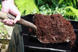 Organic Soil Conditioner