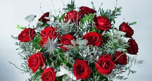 christmas flowers