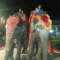 Elephant Rental services
