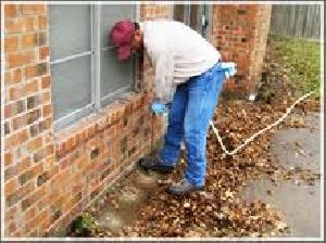 Termite Control Services in World SPA Gurugram