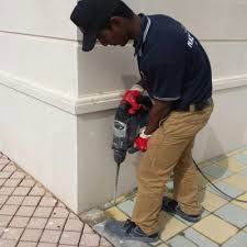 Termite Control Services in DLF City Phase 2 Gurugram