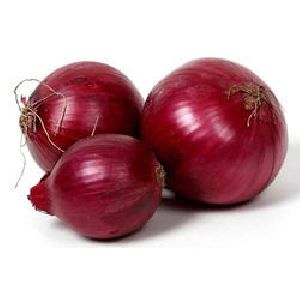 Fresh Red Onion