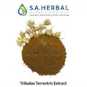 Tribullus Terrestris Extract