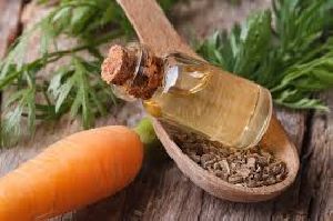 Carrot Seed Oil