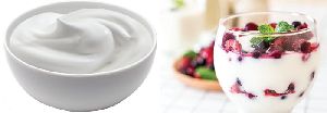 GREEK YOGURT