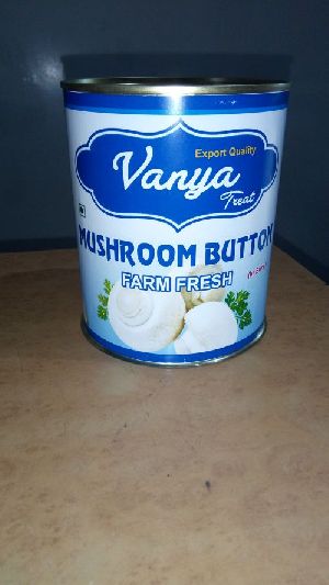 Vanya Treat Button Mushroom