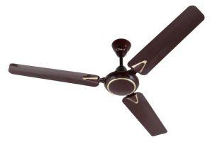 Ceiling Fans