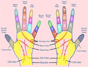 palmistry services