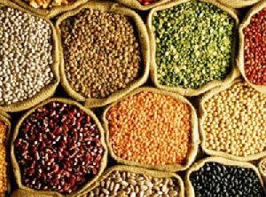 Indian Pulses